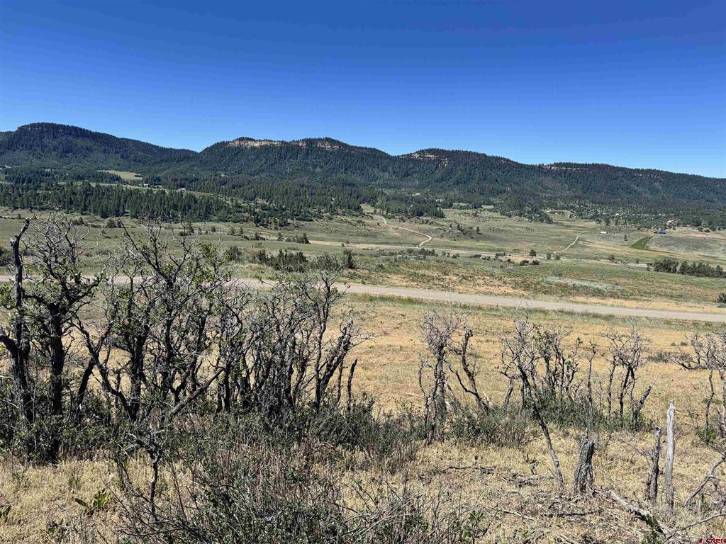 764 Irwins Place Chromo CO 81128
