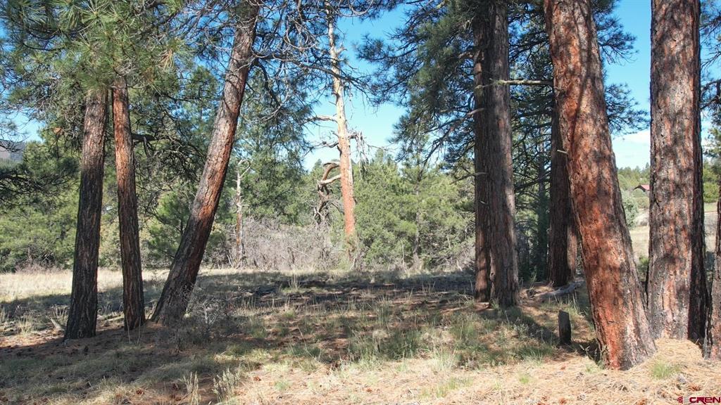 3169 Meadows Drive Pagosa Springs CO 81147
