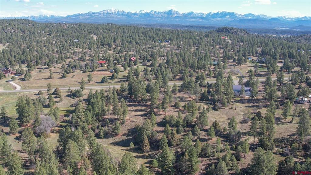3169 Meadows Drive Pagosa Springs CO 81147