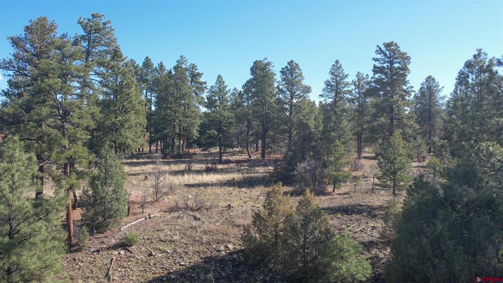 3169 Meadows Drive Pagosa Springs CO 81147