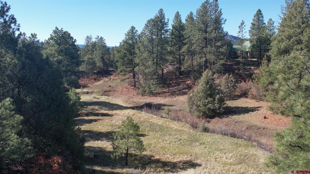 3169 Meadows Drive Pagosa Springs CO 81147