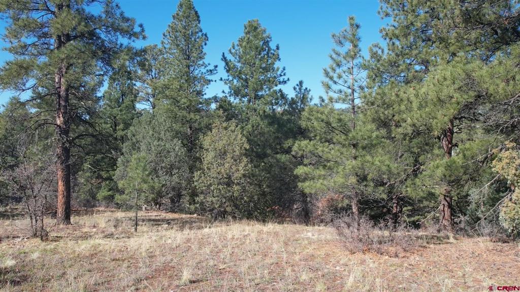 3169 Meadows Drive Pagosa Springs CO 81147