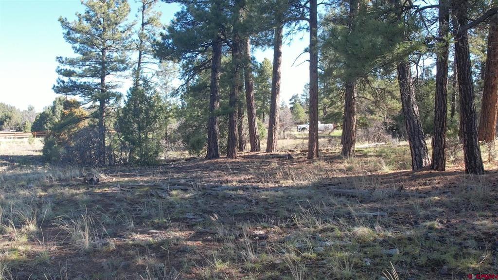 3169 Meadows Drive Pagosa Springs CO 81147