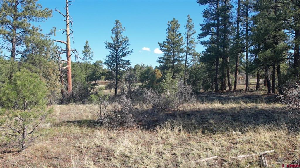 3169 Meadows Drive Pagosa Springs CO 81147