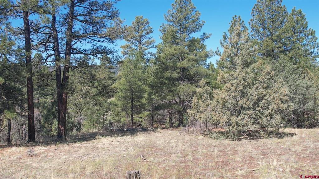 3169 Meadows Drive Pagosa Springs CO 81147