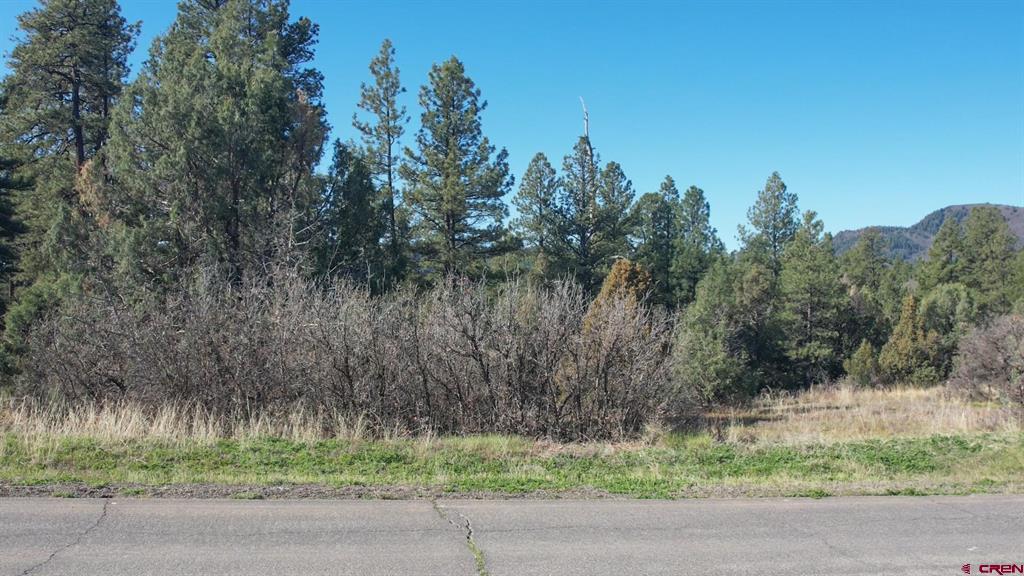 3169 Meadows Drive Pagosa Springs CO 81147