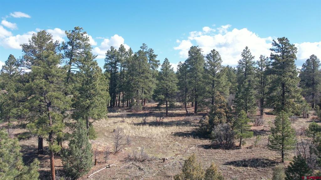 3169 Meadows Drive Pagosa Springs CO 81147