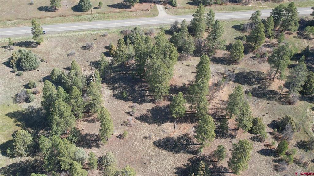 3169 Meadows Drive Pagosa Springs CO 81147