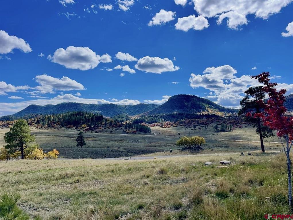 331 Spring Creek Circle Pagosa Springs CO 81147