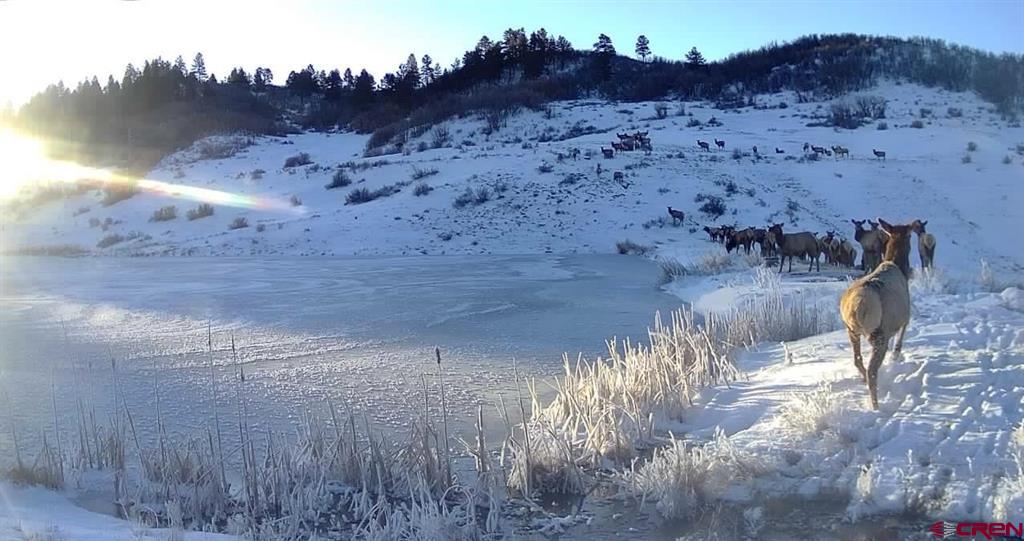 331 Spring Creek Circle Pagosa Springs CO 81147