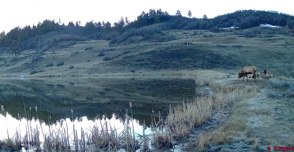 331 Spring Creek Circle Pagosa Springs CO 81147
