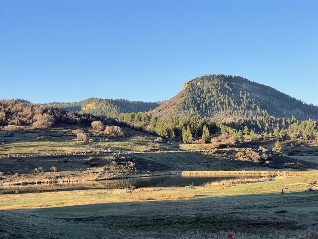 331 Spring Creek Circle Pagosa Springs CO 81147
