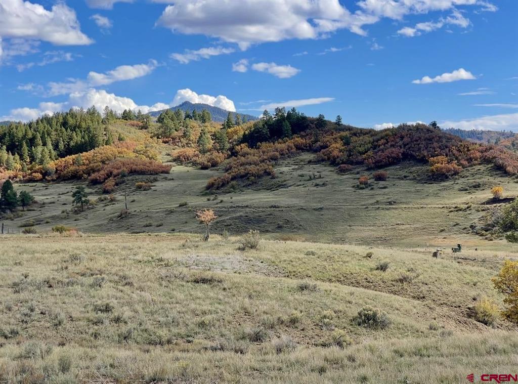 331 Spring Creek Circle Pagosa Springs CO 81147