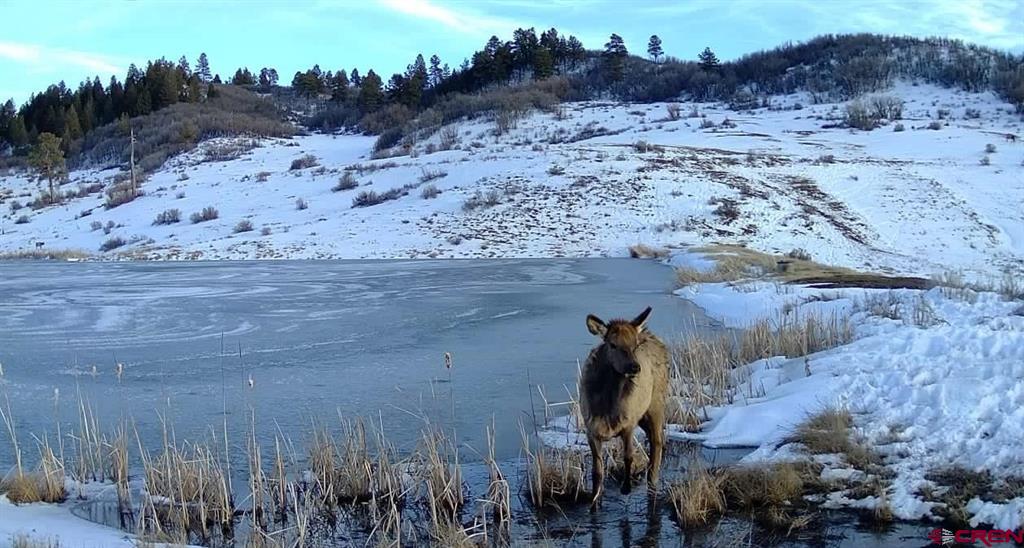 331 Spring Creek Circle Pagosa Springs CO 81147