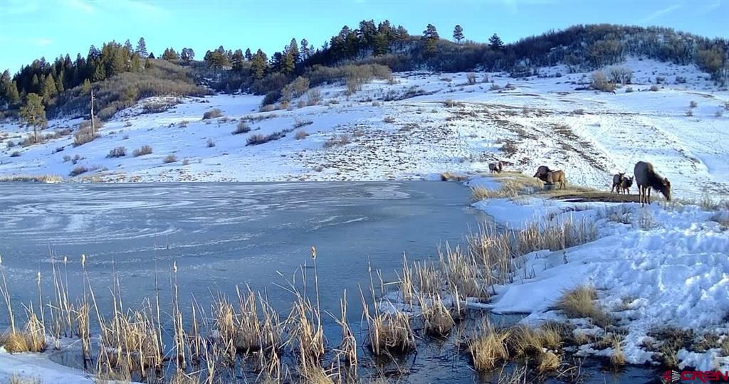 331 Spring Creek Circle Pagosa Springs CO 81147