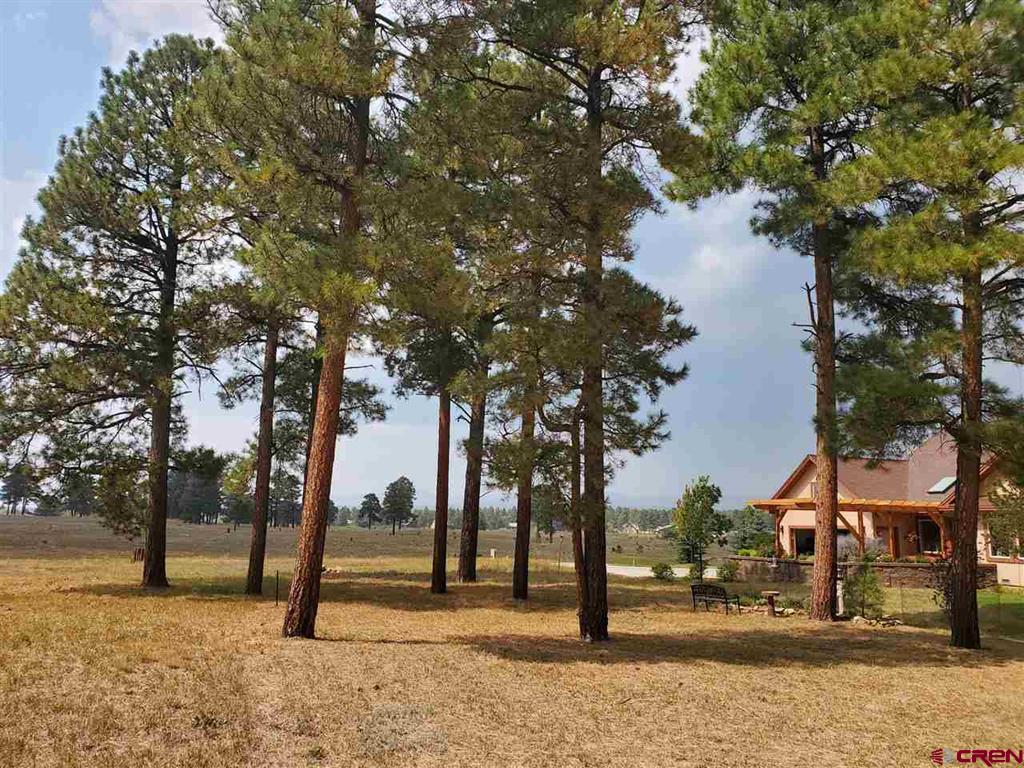 Pagosa Springs CO, 69 Capstone