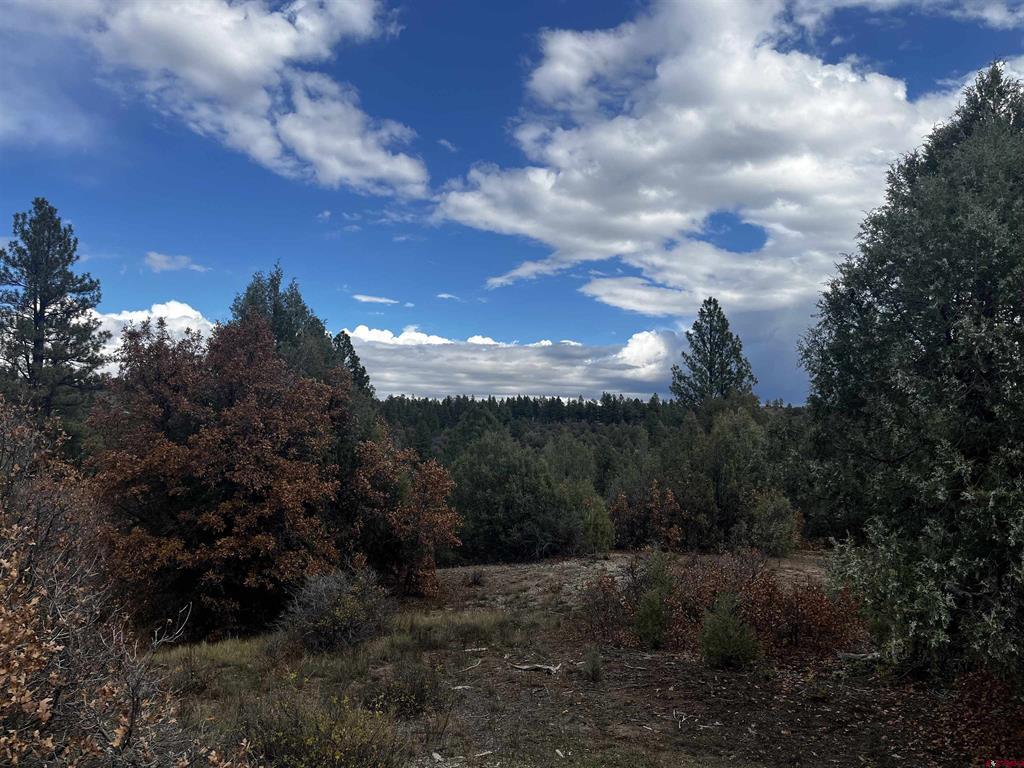 1146 Harvard Avenue Pagosa Springs CO 81147