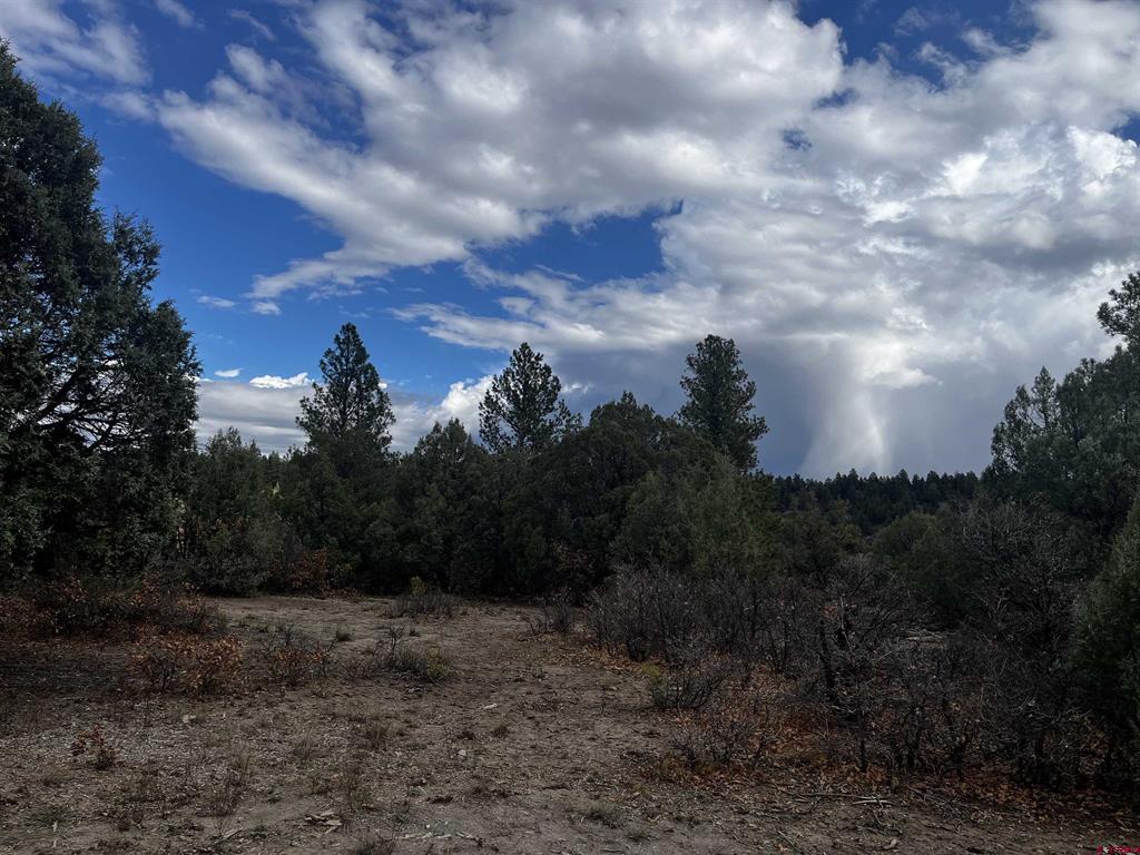 1146 Harvard Avenue Pagosa Springs CO 81147