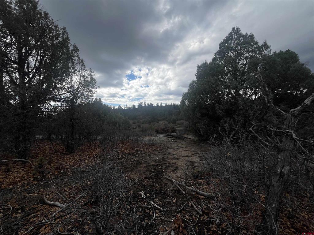 1146 Harvard Avenue Pagosa Springs CO 81147