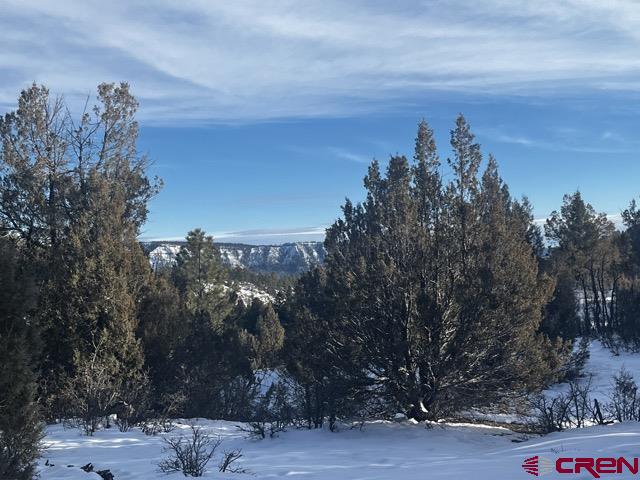 1146 Harvard Avenue Pagosa Springs CO 81147