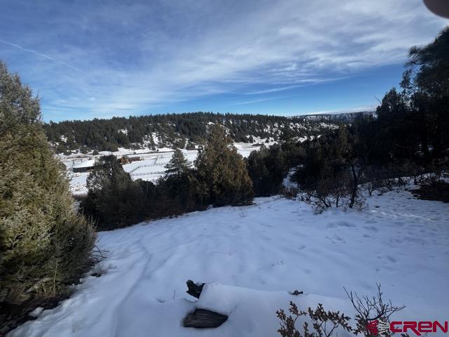 1146 Harvard Avenue Pagosa Springs CO 81147