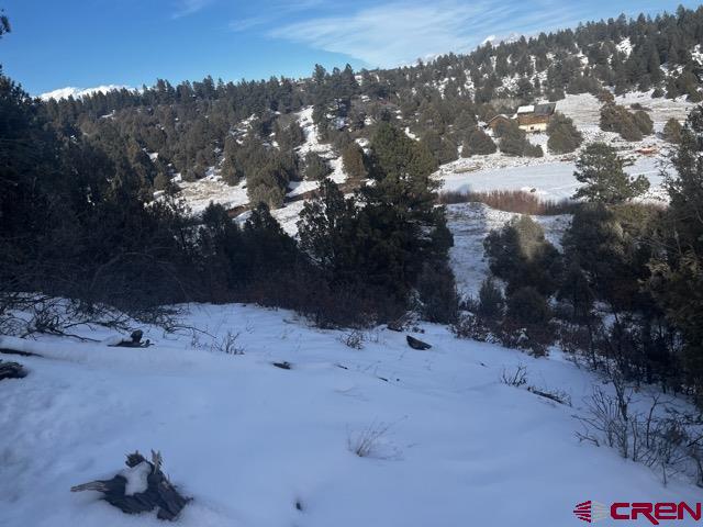 1146 Harvard Avenue Pagosa Springs CO 81147