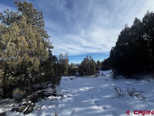 1146 Harvard Avenue Pagosa Springs CO 81147
