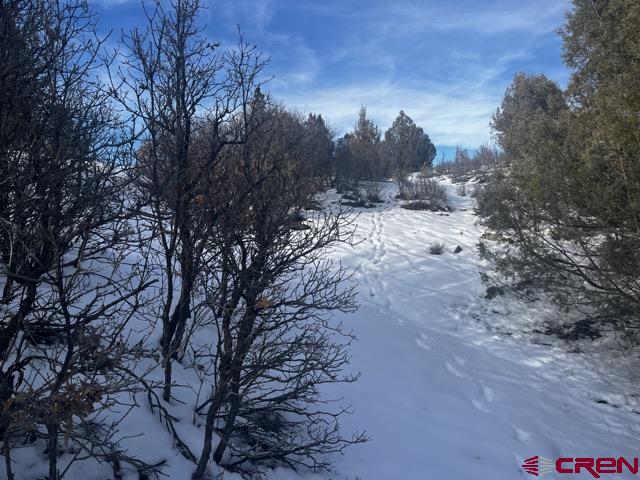 1146 Harvard Avenue Pagosa Springs CO 81147