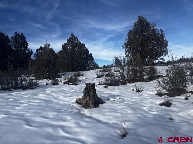 1146 Harvard Avenue Pagosa Springs CO 81147