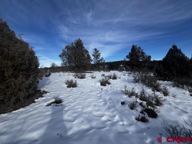 1146 Harvard Avenue Pagosa Springs CO 81147