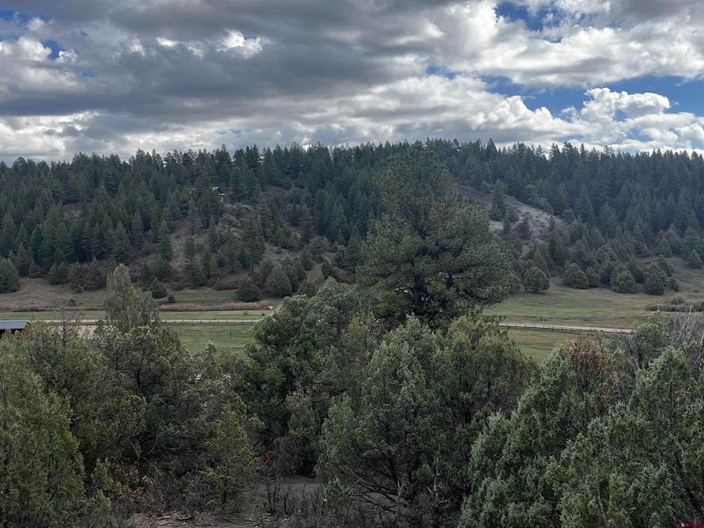 1146 Harvard Avenue Pagosa Springs CO 81147