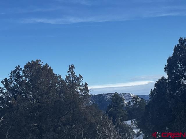 1146 Harvard Avenue Pagosa Springs CO 81147