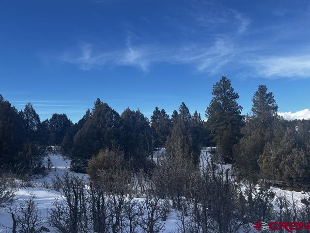 1146 Harvard Avenue Pagosa Springs CO 81147