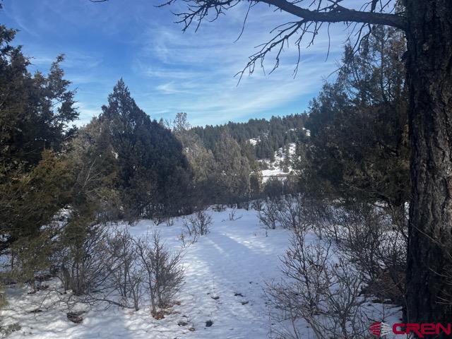 1146 Harvard Avenue Pagosa Springs CO 81147