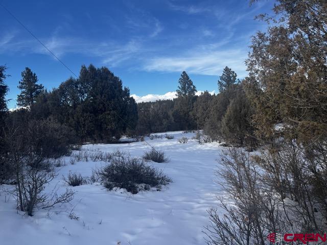 1146 Harvard Avenue Pagosa Springs CO 81147