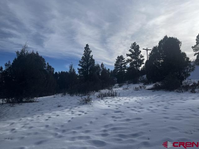 1146 Harvard Avenue Pagosa Springs CO 81147