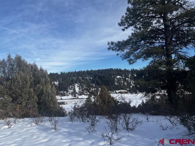 1146 Harvard Avenue Pagosa Springs CO 81147