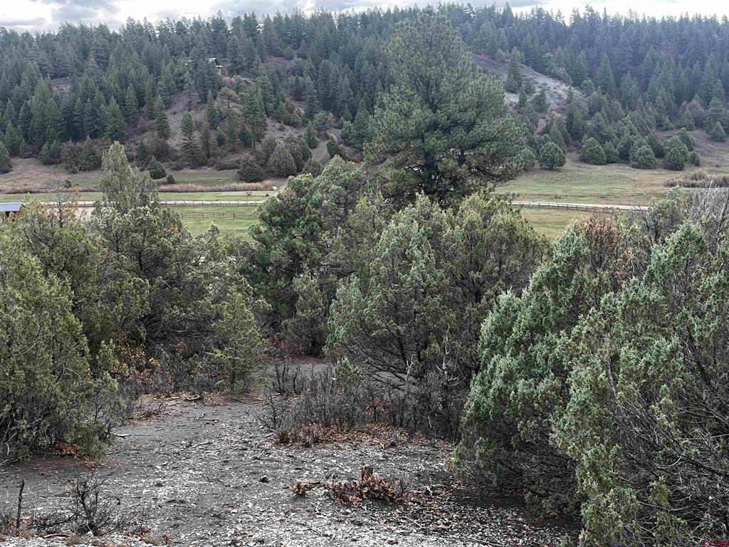 1146 Harvard Avenue Pagosa Springs CO 81147
