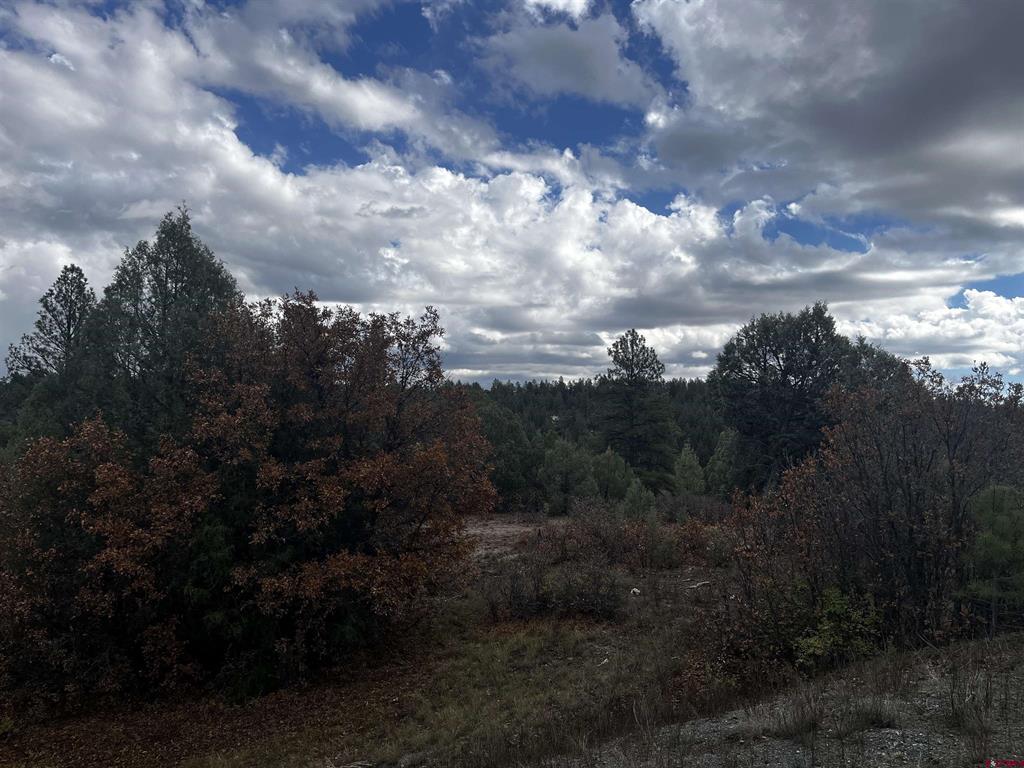 1146 Harvard Avenue Pagosa Springs CO 81147