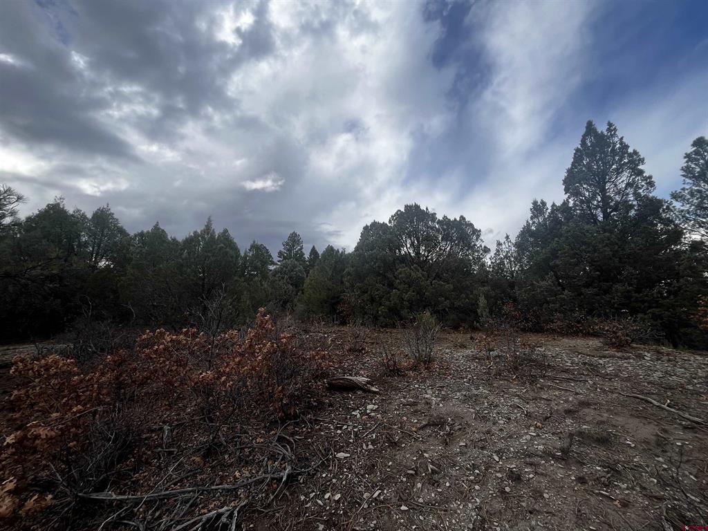 1146 Harvard Avenue Pagosa Springs CO 81147