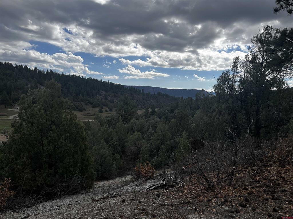 1146 Harvard Avenue Pagosa Springs CO 81147