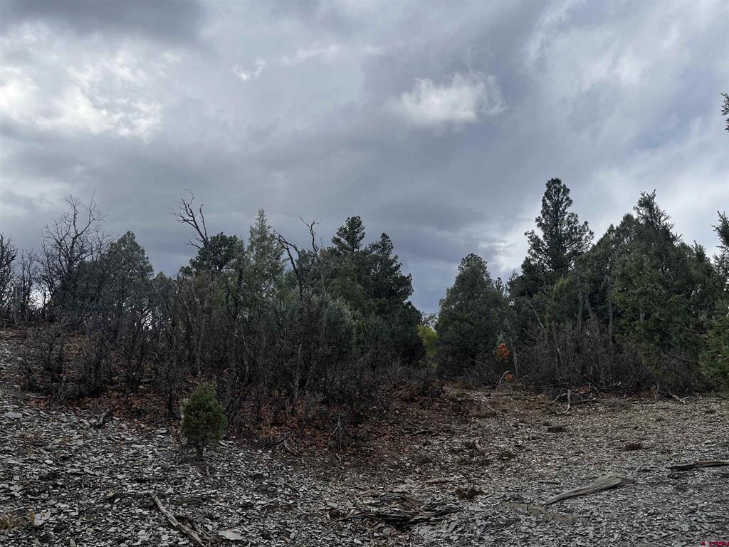 1146 Harvard Avenue Pagosa Springs CO 81147