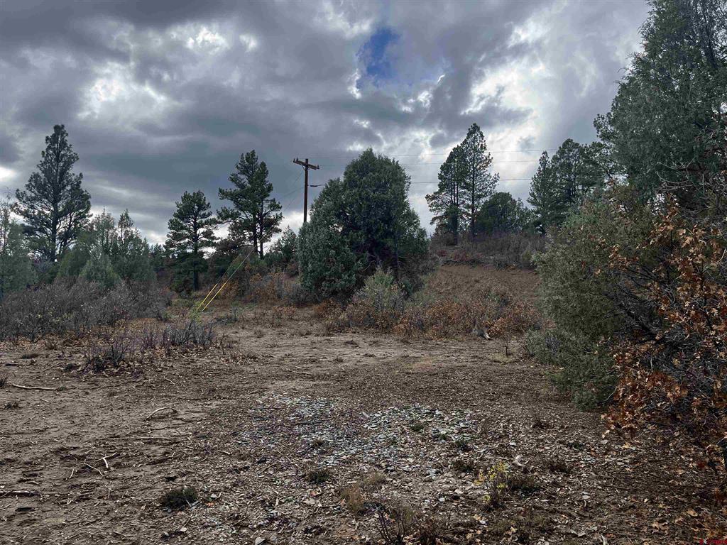 1146 Harvard Avenue Pagosa Springs CO 81147