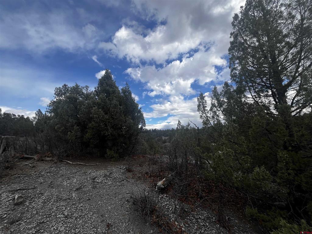 1146 Harvard Avenue Pagosa Springs CO 81147