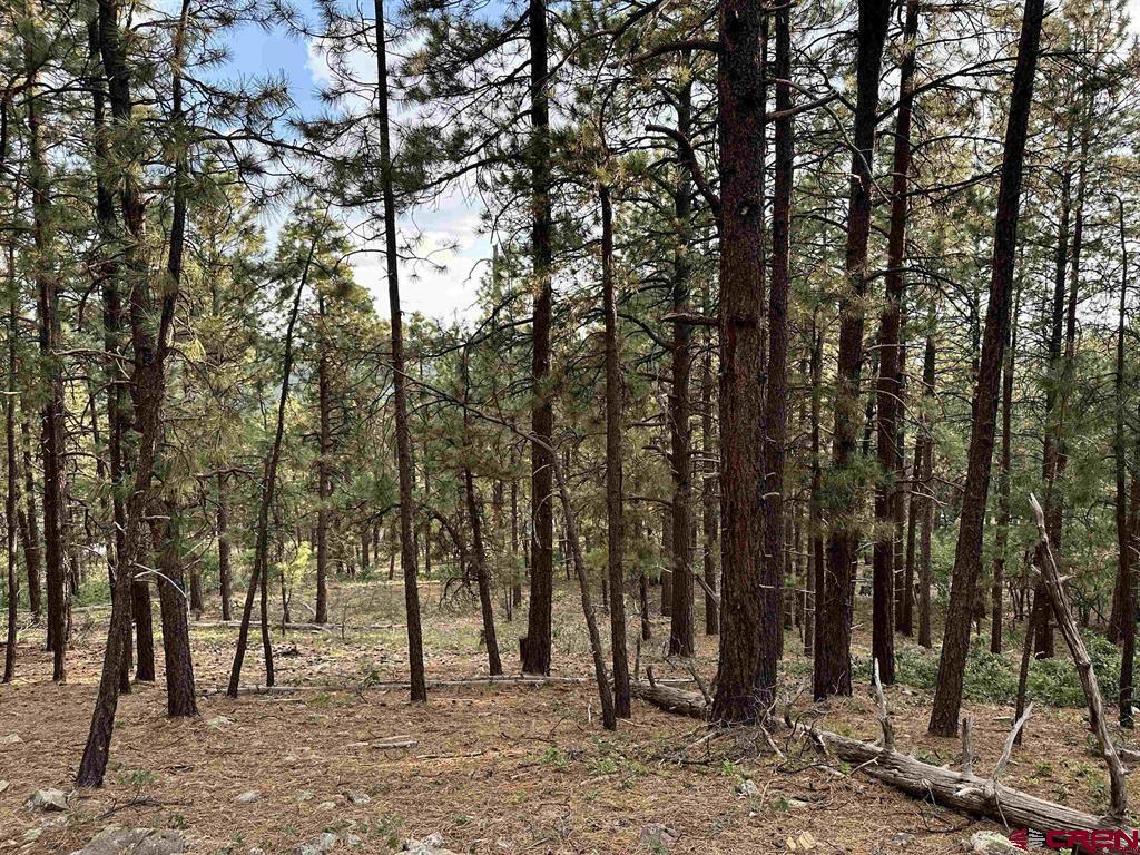 259 Hillside Circle Bayfield CO 81122