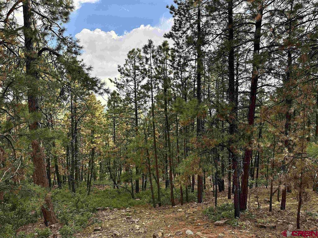 259 Hillside Circle Bayfield CO 81122