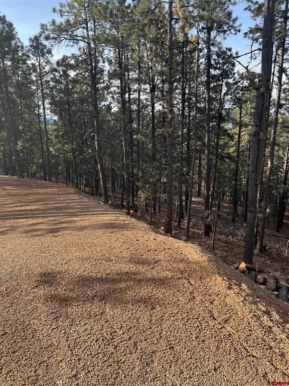 259 Hillside Circle Bayfield CO 81122