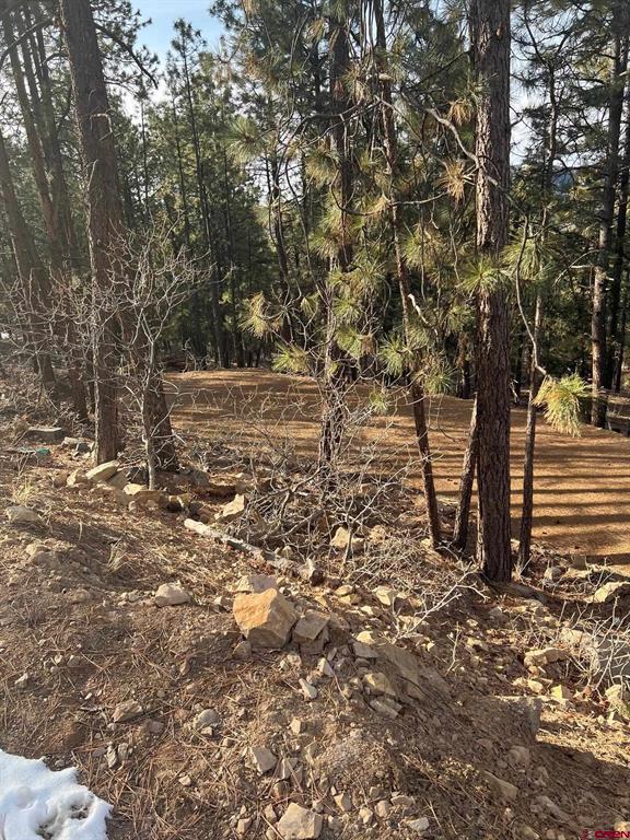 259 Hillside Circle Bayfield CO 81122