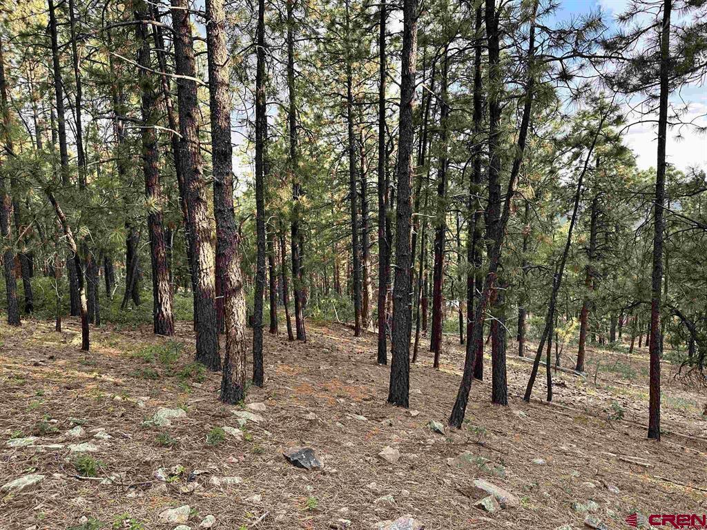 259 Hillside Circle Bayfield CO 81122