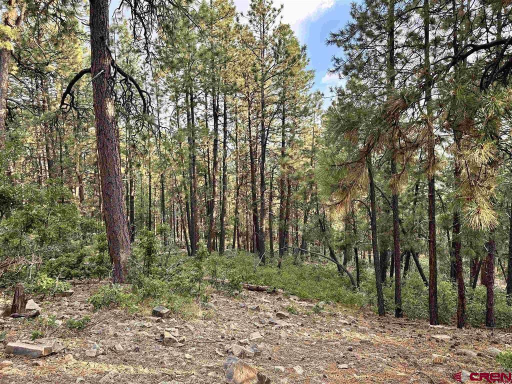 259 Hillside Circle Bayfield CO 81122